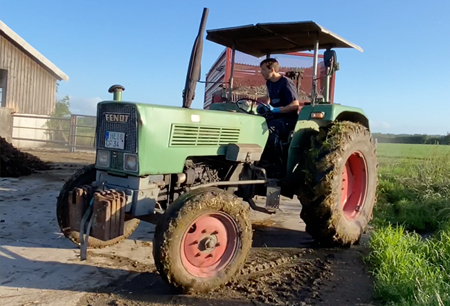 NordseeMilch Kuehe Tierwohl Milch