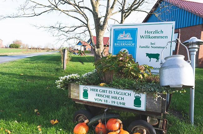 Ferienhof Nommsen Pellworm Tierwohl Milch